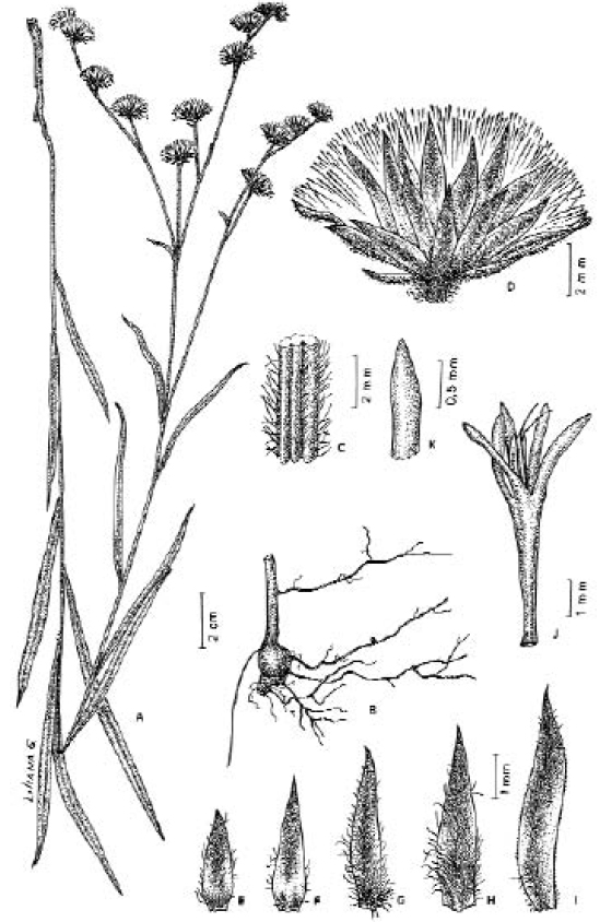Fig 22