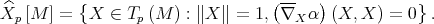  { (-- ) } ^Xp [M ] = X ∈ Tp(M ) : ∥X ∥ = 1, ∇X α (X, X ) = 0 . 